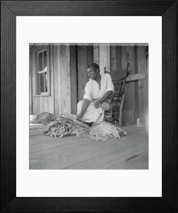Framed Print : Near Douglas, Georgia. Sharecroppers grade the cured leaves, 1938. Creator: Dorothea Lange Framed Print : Near Douglas, Georgia. Sharecroppers grade the cured leaves, 1938. Creator: Dorothea Lange