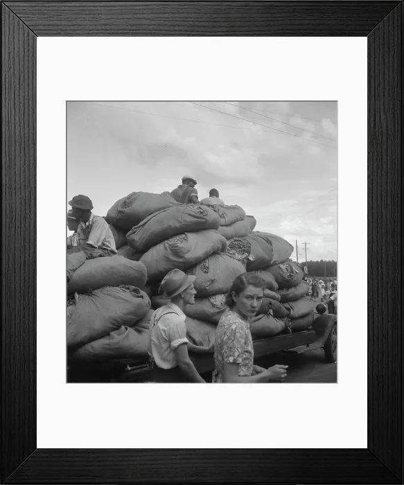 Framed Print : The golden leaf, already graded by the farmers, sorted and wrapped... Douglas, Georgia, 1938. Creator: Dorothea Lange. The golden leaf, already graded by the farmers, sorted and wrapped... Douglas, Georgia, 1938 Framed Print : The golden leaf, already graded by the farmers, sorted and wrapped... Douglas, Georgia, 1938. Creator: Dorothea Lange. The golden leaf, already graded by the farmers, sorted and wrapped... Douglas, Georgia, 1938