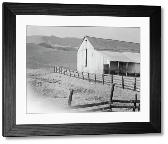 Framed Print : Cowbarn and hills, California dairy ranch, Contra Costa County, California, 1938. Creator: Dorothea Lange Framed Print : Cowbarn and hills, California dairy ranch, Contra Costa County, California, 1938. Creator: Dorothea Lange