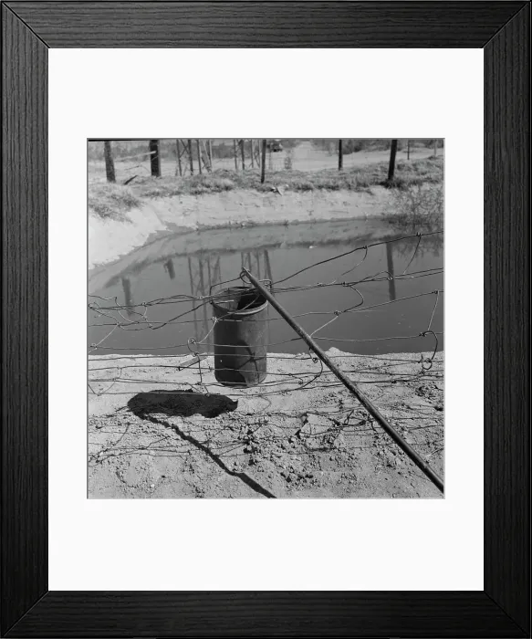 Framed Print : Water supply, California squatter camp near Calipatria, California, 1937. Creator: Dorothea Lange Framed Print : Water supply, California squatter camp near Calipatria, California, 1937. Creator: Dorothea Lange