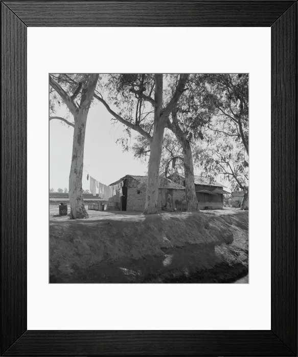 Framed Print : Ditch bank housing for Mexican field workers, Imperial Valley, California, 1937. Creator: Dorothea Lange Framed Print : Ditch bank housing for Mexican field workers, Imperial Valley, California, 1937. Creator: Dorothea Lange