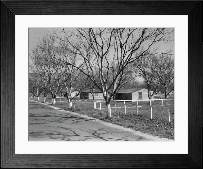 Framed Print : El Monte federal subsistence housing - 100 homes all occupied, California, 1936. Creator: Dorothea Lange Framed Print : El Monte federal subsistence housing - 100 homes all occupied, California, 1936. Creator: Dorothea Lange