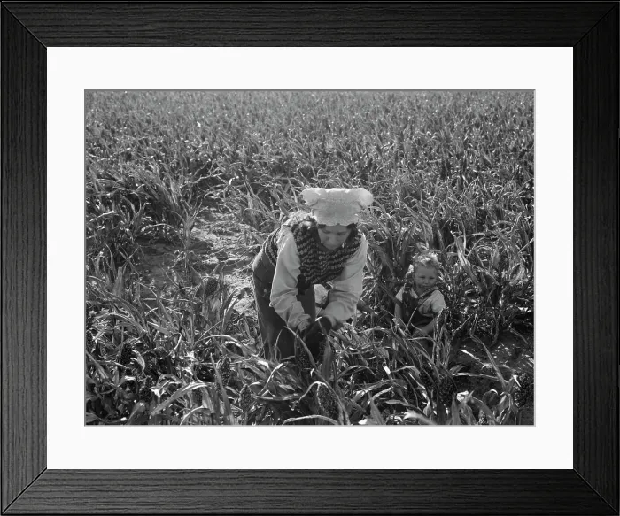 Framed Print : Wife of formerly rehabilitation client now operating own farm, near Manteca, CA, 1938. Creator: Dorothea Lange Framed Print : Wife of formerly rehabilitation client now operating own farm, near Manteca, CA, 1938. Creator: Dorothea Lange