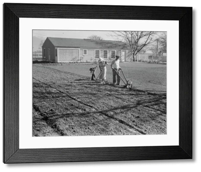 Framed Print : El Monte federal subsistence housing, California, 1936. Creator: Dorothea Lange Framed Print : El Monte federal subsistence housing, California, 1936. Creator: Dorothea Lange