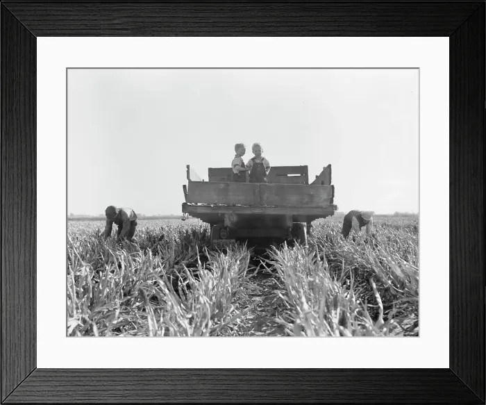Framed Print : Formerly rehabilitation clients now operating own farm, near Manteca, California, 1938. Creator: Dorothea Lange Framed Print : Formerly rehabilitation clients now operating own farm, near Manteca, California, 1938. Creator: Dorothea Lange