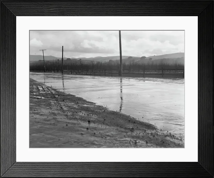 Framed Print : U.S. 101 near San Juan Bautista, California, 1939. Creator: Dorothea Lange Framed Print : U.S. 101 near San Juan Bautista, California, 1939. Creator: Dorothea Lange