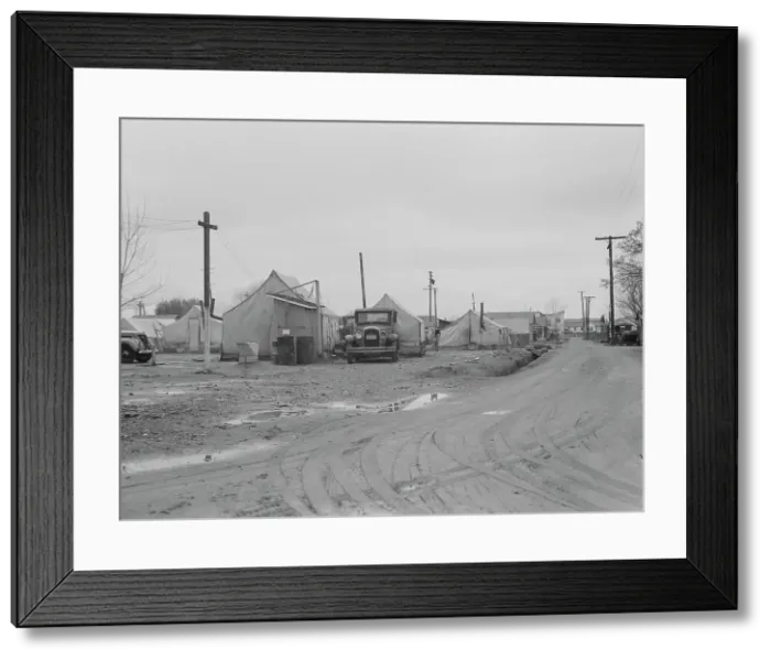 Framed Print : Orange picker's camp, Strathmore, California, 1939. Creator: Dorothea Lange Framed Print : Orange picker's camp, Strathmore, California, 1939. Creator: Dorothea Lange