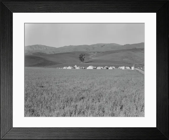Framed Print : Migratory labor camp in the Santa Clara Valley, near San Jose, California, 1937. Creator: Dorothea Lange Framed Print : Migratory labor camp in the Santa Clara Valley, near San Jose, California, 1937. Creator: Dorothea Lange