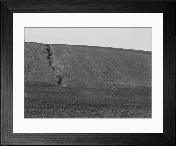 Framed Print : Erosion from the pea fields, near Santa Maria, California, 1939. Creator: Dorothea Lange Framed Print : Erosion from the pea fields, near Santa Maria, California, 1939. Creator: Dorothea Lange