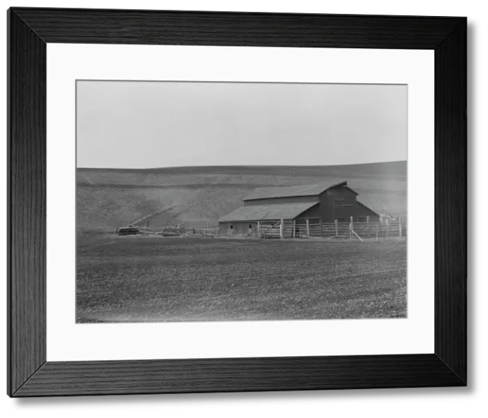 Framed Print : Small dairy farm near Santa Maria, California, 1939. Creator: Dorothea Lange Framed Print : Small dairy farm near Santa Maria, California, 1939. Creator: Dorothea Lange