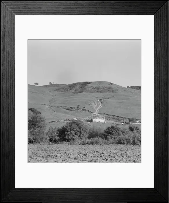Framed Print : Soil erosion in California hills, small dairy ranch near Gibson, California, 1937. Creator: Dorothea Lange Framed Print : Soil erosion in California hills, small dairy ranch near Gibson, California, 1937. Creator: Dorothea Lange