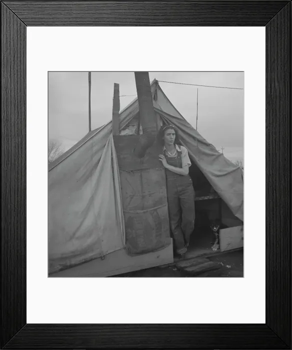 Framed Print : From Wyoming and Missouri eight years...working in lemons... near Strathmore, CA, 1939. Creator: Dorothea Lange Framed Print : From Wyoming and Missouri eight years...working in lemons... near Strathmore, CA, 1939. Creator: Dorothea Lange