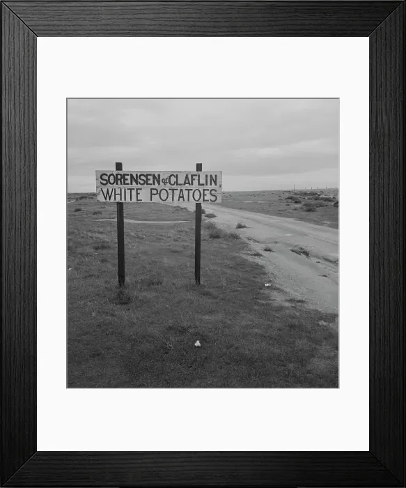 Framed Print : Large-scale agriculture beside U.S. 99. Kern County, California, 1939. Creator: Dorothea Lange Framed Print : Large-scale agriculture beside U.S. 99. Kern County, California, 1939. Creator: Dorothea Lange