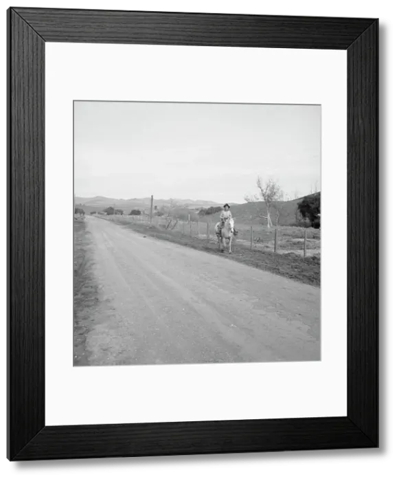 Framed Print : Cowboy coming in from the hills, San Luis Obispo County, California, 1939. Creator: Dorothea Lange Framed Print : Cowboy coming in from the hills, San Luis Obispo County, California, 1939. Creator: Dorothea Lange