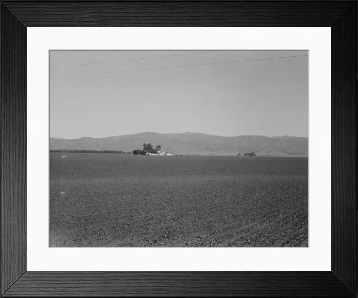 Framed Print : Large-scale agriculture (peas) and old style California ranch house, near King City, CA, 1939. Creator: Dorothea Lange Framed Print : Large-scale agriculture (peas) and old style California ranch house, near King City, CA, 1939. Creator: Dorothea Lange