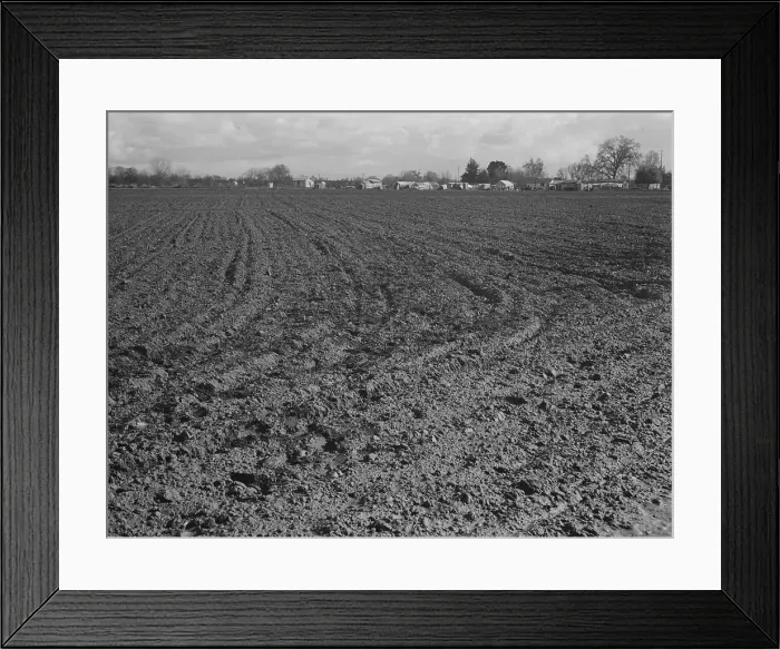 Framed Print : Migrants winter quarters, Farmersville, Tulare County, 1939. Creator: Dorothea Lange Framed Print : Migrants winter quarters, Farmersville, Tulare County, 1939. Creator: Dorothea Lange