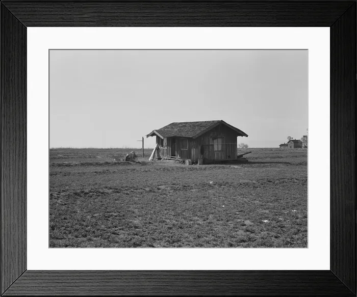 Framed Print : On the plains west of Fresno, California, 1939. Creator: Dorothea Lange Framed Print : On the plains west of Fresno, California, 1939. Creator: Dorothea Lange