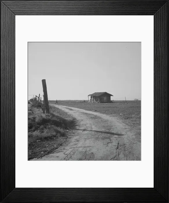 Framed Print : On the plains west of Fresno, California, 1939. Creator: Dorothea Lange