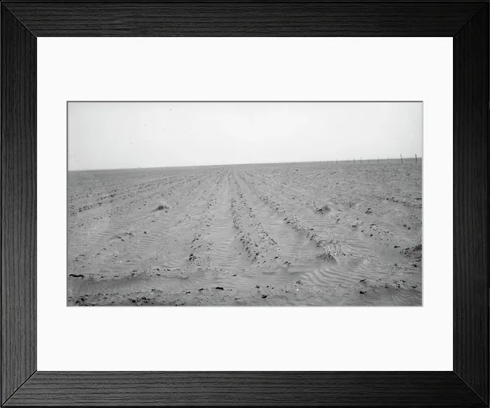 Framed Print : An example of how listing soil into furrows helps impede erosion, Mills, New Mexico, 1935. Creator: Dorothea Lange Framed Print : An example of how listing soil into furrows helps impede erosion, Mills, New Mexico, 1935. Creator: Dorothea Lange