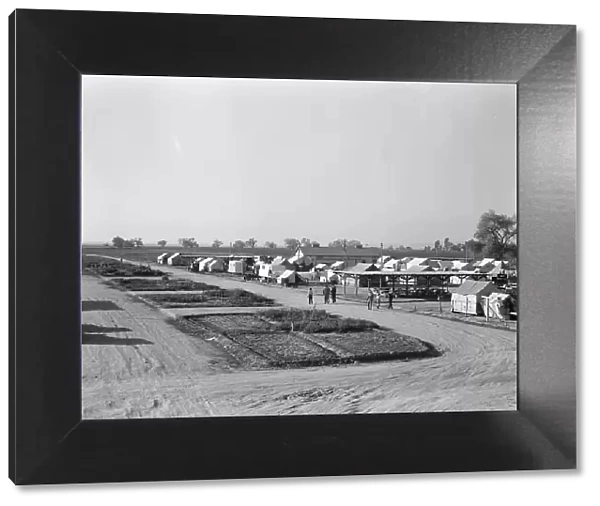 View of Kern County migrant camp showing community garden plots, California, 1936. Creator: Dorothea Lange