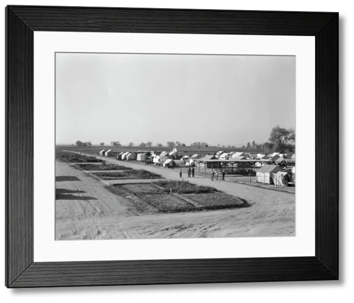 Framed Print : View of Kern County migrant camp showing community garden plots, California, 1936. Creator: Dorothea Lange Framed Print : View of Kern County migrant camp showing community garden plots, California, 1936. Creator: Dorothea Lange