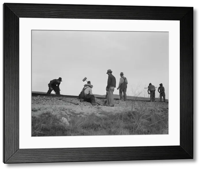 Framed Print : White section gang near King City, California, 1937. Creator: Dorothea Lange Framed Print : White section gang near King City, California, 1937. Creator: Dorothea Lange
