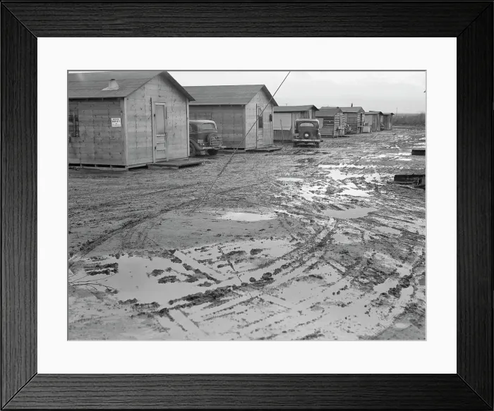 Framed Print : Company cotton pickers camp after picking season, Buttonwillow, California, 1939. Creator: Dorothea Lange. Company cotton pickers camp after picking season, Buttonwillow, California, 1939. Creator: Dorothea Lange Framed Print : Company cotton pickers camp after picking season, Buttonwillow, California, 1939. Creator: Dorothea Lange. Company cotton pickers camp after picking season, Buttonwillow, California, 1939. Creator: Dorothea Lange