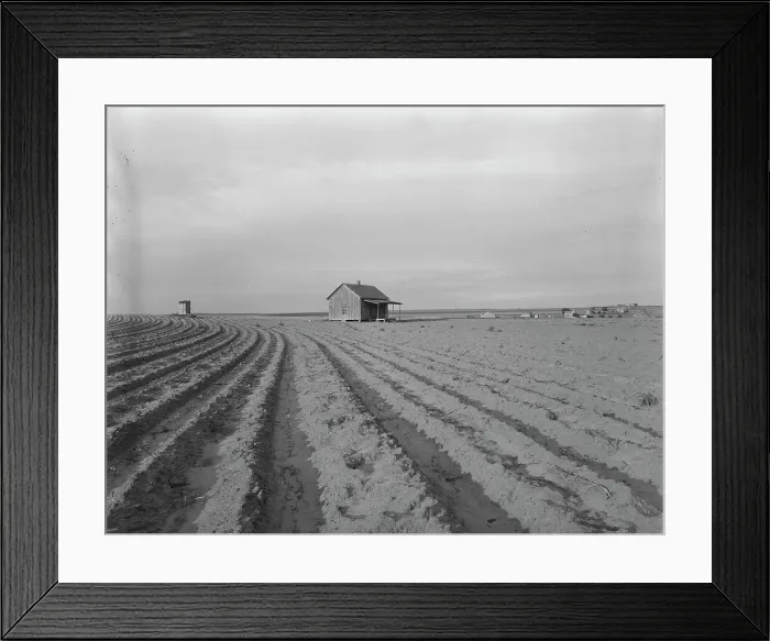 Framed Print : Abandoned tenant house, Hall County, Texas, 1937. Creator: Dorothea Lange Framed Print : Abandoned tenant house, Hall County, Texas, 1937. Creator: Dorothea Lange