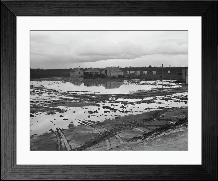 Framed Print : Migratory workers in winter quarters, Kern County, California, 1939. Creator: Dorothea Lange Framed Print : Migratory workers in winter quarters, Kern County, California, 1939. Creator: Dorothea Lange