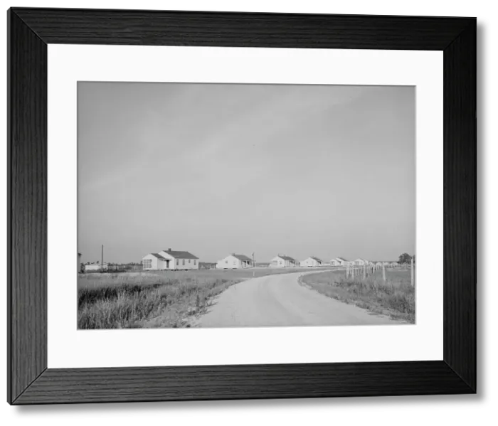 Framed Print : Houses at Lake Dick cooperative, Arkansas, 1938. Creator: Dorothea Lange Framed Print : Houses at Lake Dick cooperative, Arkansas, 1938. Creator: Dorothea Lange
