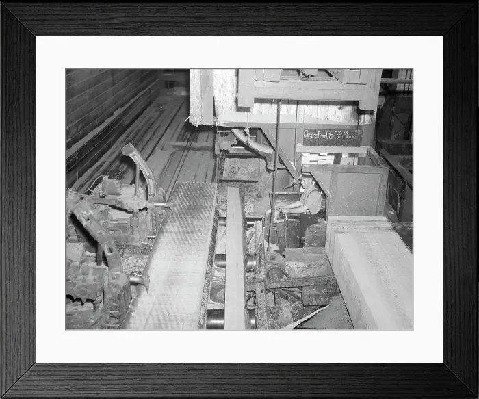 Framed Print : Resident of Longview Homesteads in sawmill, Longview, Washington, 1936. Creator: Dorothea Lange Framed Print : Resident of Longview Homesteads in sawmill, Longview, Washington, 1936. Creator: Dorothea Lange