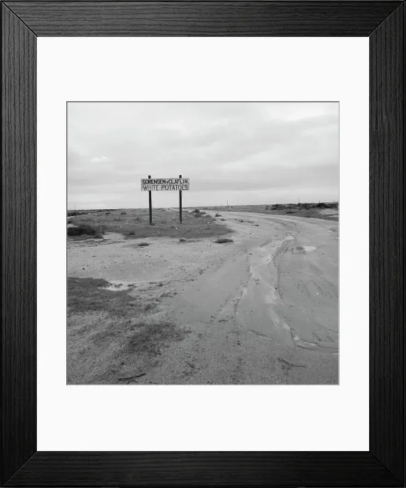 Framed Print : Large-scale agriculture, beside U.S. 99, Kern County, California, 1939. Creator: Dorothea Lange Framed Print : Large-scale agriculture, beside U.S. 99, Kern County, California, 1939. Creator: Dorothea Lange
