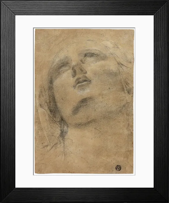Framed Print : Head of the Virgin Looking Upwards, c.1615. Creator: Jacopo Cavedone Framed Print : Head of the Virgin Looking Upwards, c.1615. Creator: Jacopo Cavedone