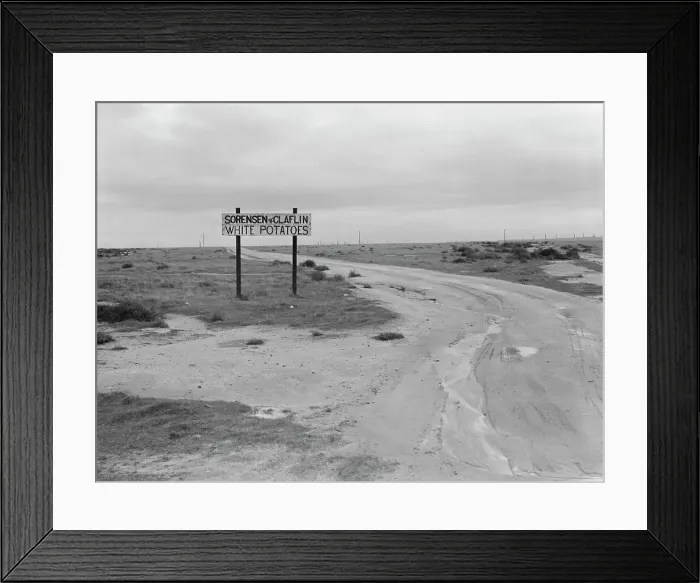 Framed Print : Large-scale agriculture, beside U.S. 99, Kern County, California, 1939. Creator: Dorothea Lange Framed Print : Large-scale agriculture, beside U.S. 99, Kern County, California, 1939. Creator: Dorothea Lange