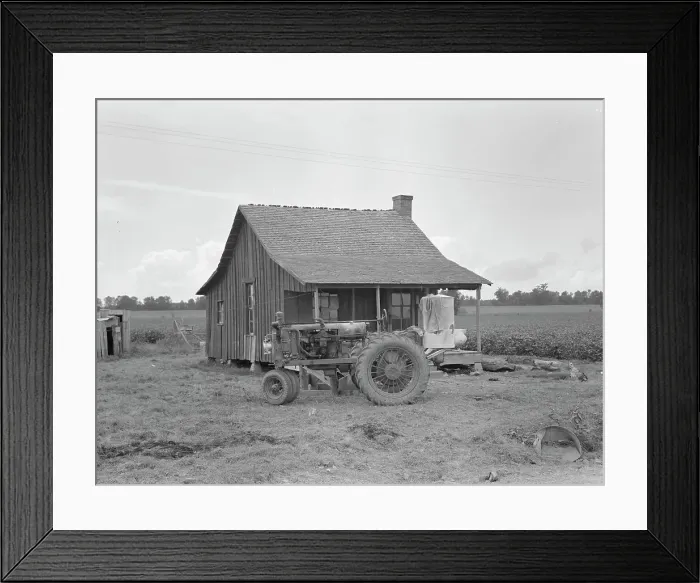Framed Print : Tractors with pneumatic tires are replacing mules on the Delta plantations, Arkansas, 1939. Creator: Dorothea Lange Framed Print : Tractors with pneumatic tires are replacing mules on the Delta plantations, Arkansas, 1939. Creator: Dorothea Lange