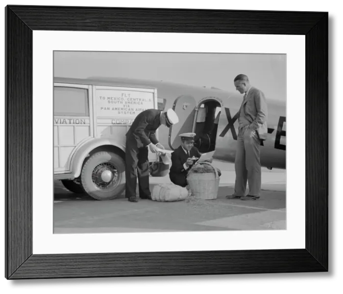 Framed Print : Plant quarantine inspectors examining baggage from Mexico, Glendale Airport, California, 1937. Creator: Dorothea Lange Framed Print : Plant quarantine inspectors examining baggage from Mexico, Glendale Airport, California, 1937. Creator: Dorothea Lange
