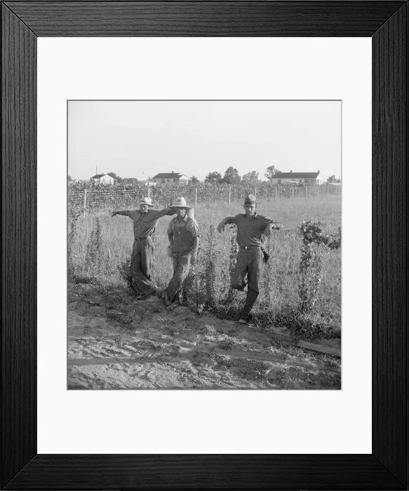 Framed Print : Farm Security Administration (FSA) cooperative farm, Lake Dick, Arkansas, 1939. Creator: Dorothea Lange Framed Print : Farm Security Administration (FSA) cooperative farm, Lake Dick, Arkansas, 1939. Creator: Dorothea Lange