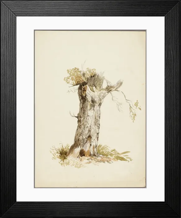 Framed Print : Tree Trunk I, n.d. Creators: Unknown, William Callow Framed Print : Tree Trunk I, n.d. Creators: Unknown, William Callow