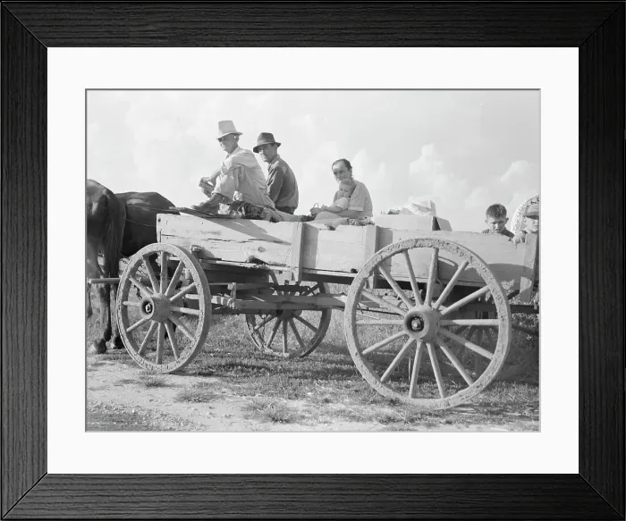 Framed Print : Horse and wagon is still a common means of transportation... Southeast Missouri Farms, 1938. Creator: Dorothea Lange Framed Print : Horse and wagon is still a common means of transportation... Southeast Missouri Farms, 1938. Creator: Dorothea Lange