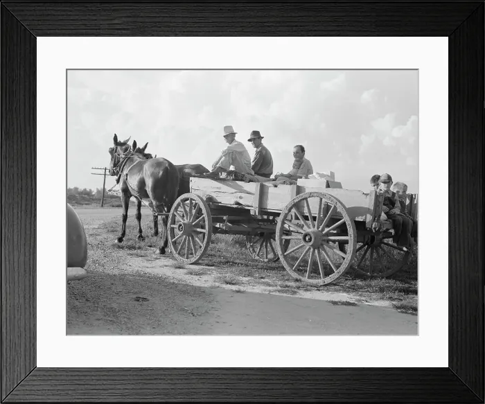 Framed Print : Horse and wagon is still a common means of transportation... Southeast Missouri Farms, 1938. Creator: Dorothea Lange Framed Print : Horse and wagon is still a common means of transportation... Southeast Missouri Farms, 1938. Creator: Dorothea Lange