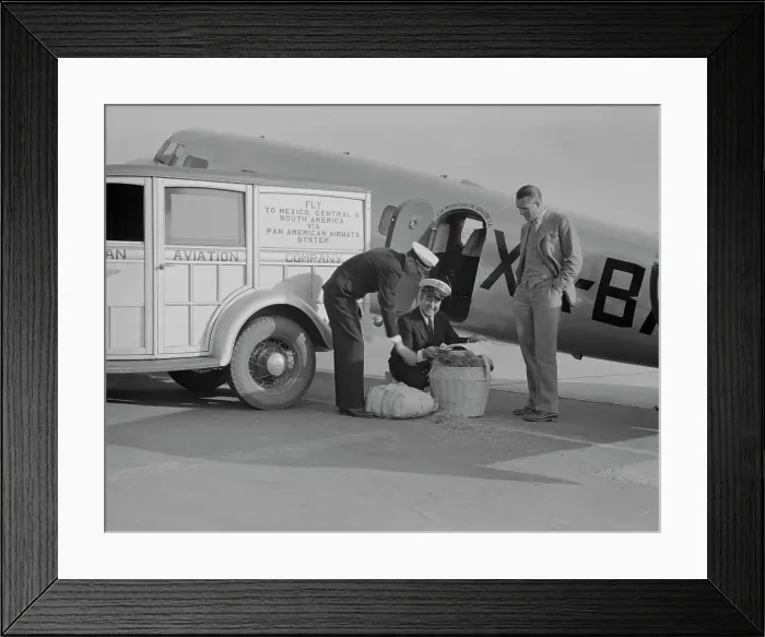 Framed Print : Plant quarantine inspector examining baggage brought into the US, Glendale, California, 1937. Creator: Dorothea Lange Framed Print : Plant quarantine inspector examining baggage brought into the US, Glendale, California, 1937. Creator: Dorothea Lange