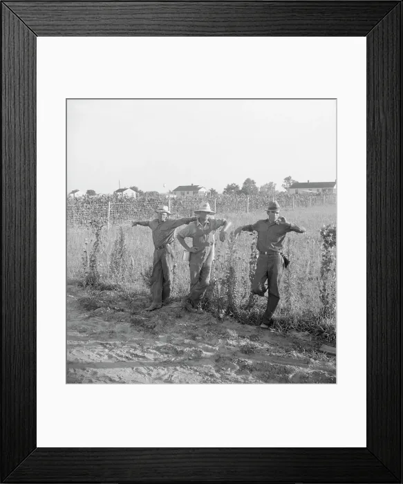 Framed Print : Farm Security Administration (FSA) cooperative farm, Lake Dick, Arkansas, 1938. Creator: Dorothea Lange Framed Print : Farm Security Administration (FSA) cooperative farm, Lake Dick, Arkansas, 1938. Creator: Dorothea Lange