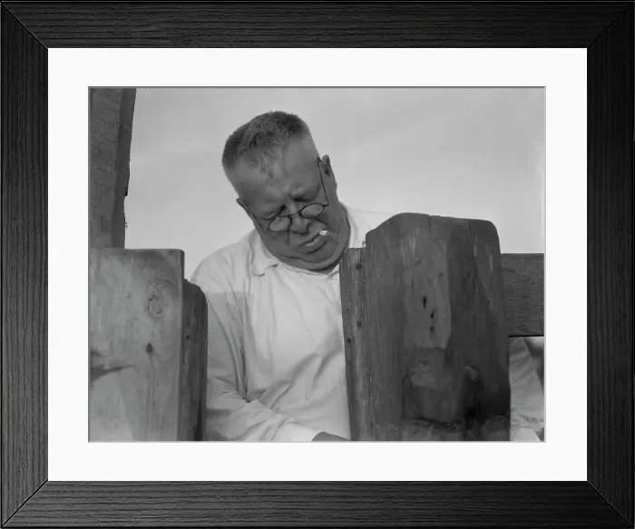 Framed Print : Henry Lotz closing the gate to the barns at the Midway City Dairy Association, near Santa Ana, 1937. Creator: Dorothea Lange Framed Print : Henry Lotz closing the gate to the barns at the Midway City Dairy Association, near Santa Ana, 1937. Creator: Dorothea Lange