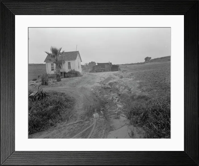 Framed Print : Eroded field, San Luis Obispo County, California, 1936. Creator: Dorothea Lange Framed Print : Eroded field, San Luis Obispo County, California, 1936. Creator: Dorothea Lange