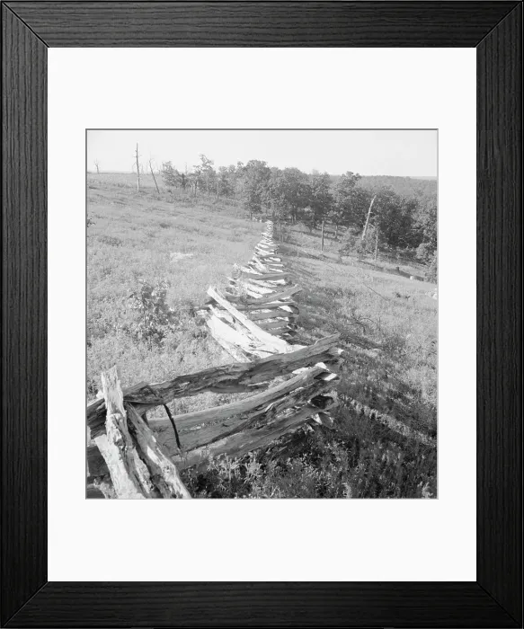 Framed Print : Split-log fence, North central Arkansas, along U.S. 62, 1938. Creator: Dorothea Lange Framed Print : Split-log fence, North central Arkansas, along U.S. 62, 1938. Creator: Dorothea Lange