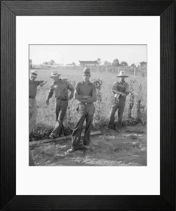 Framed Print : Farm Security Administration (FSA) cooperative farm, Lake Dick, Arkansas, 1939. Creator: Dorothea Lange Framed Print : Farm Security Administration (FSA) cooperative farm, Lake Dick, Arkansas, 1939. Creator: Dorothea Lange