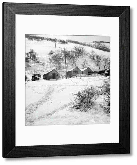 Framed Print : Housing in Utah coal town, Consumers, near Price, Utah, 1936. Creator: Dorothea Lange Framed Print : Housing in Utah coal town, Consumers, near Price, Utah, 1936. Creator: Dorothea Lange