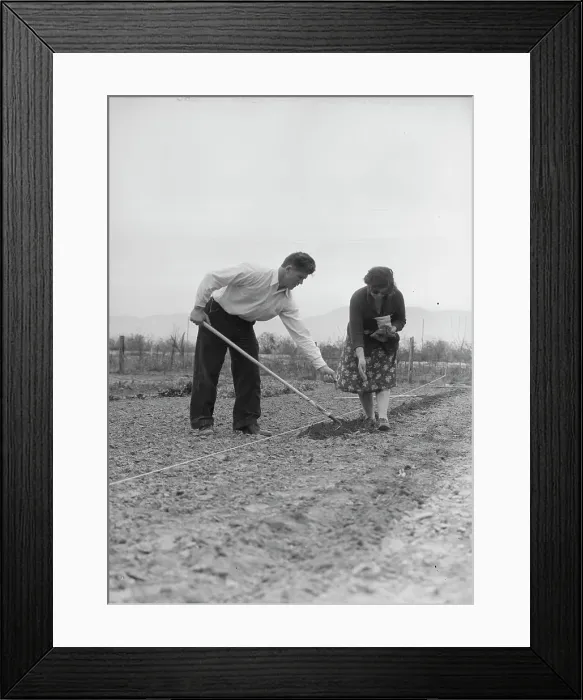 Framed Print : Drought refugees from Colorado, outskirts of San Bernardino, California. 1935. Creator: Dorothea Lange Framed Print : Drought refugees from Colorado, outskirts of San Bernardino, California. 1935. Creator: Dorothea Lange