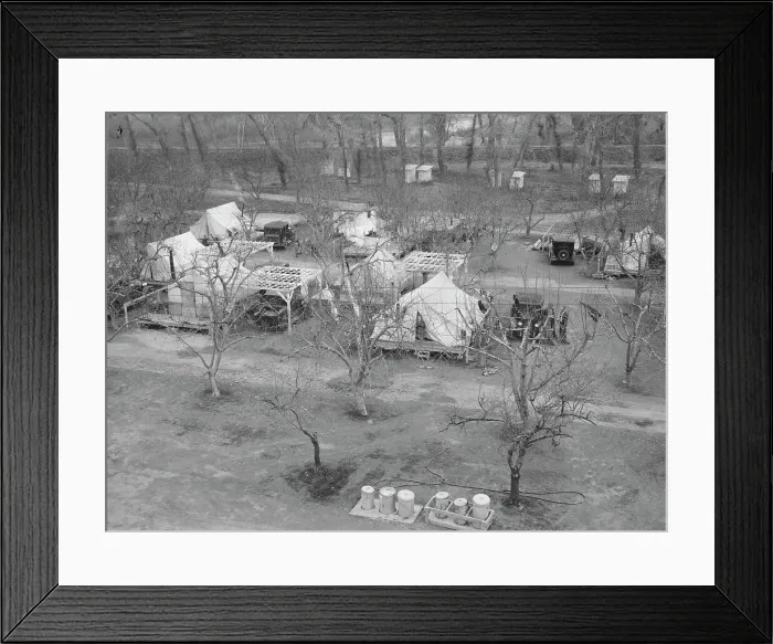 Framed Print : Farm Security Administration (FSA) temporary camp for migrants, Gridley, California, 1939 Creator: Dorothea Lange Framed Print : Farm Security Administration (FSA) temporary camp for migrants, Gridley, California, 1939 Creator: Dorothea Lange