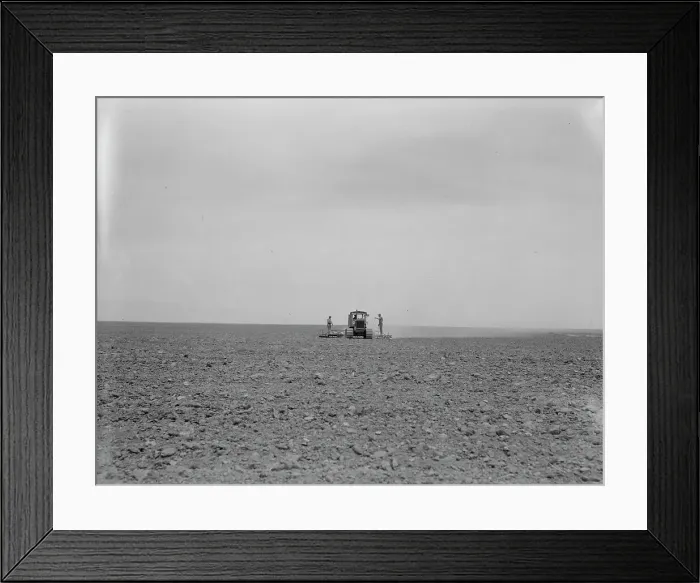 Framed Print : Harrowing a 2, 000 acre wheat field, Antelope Valley, Los Angeles County, California, 1937. Creator: Dorothea Lange Framed Print : Harrowing a 2, 000 acre wheat field, Antelope Valley, Los Angeles County, California, 1937. Creator: Dorothea Lange